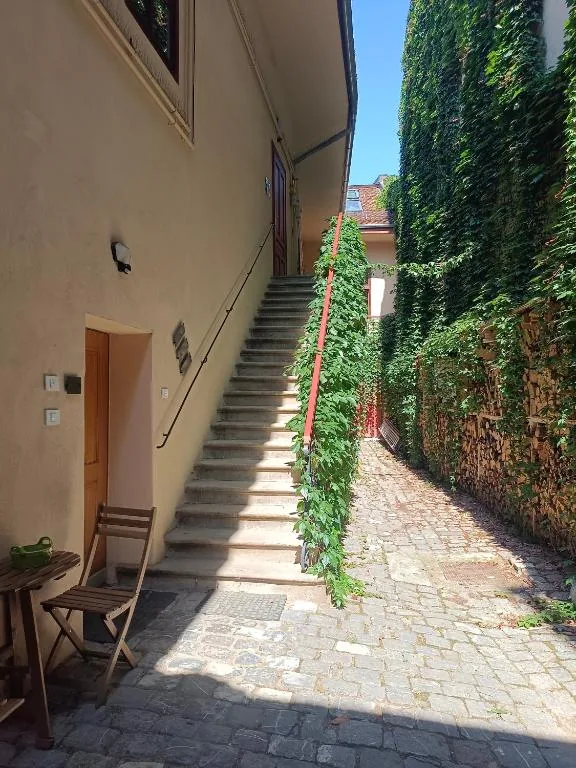 The cobbled inner courtyard with its stone stair and ivy wall